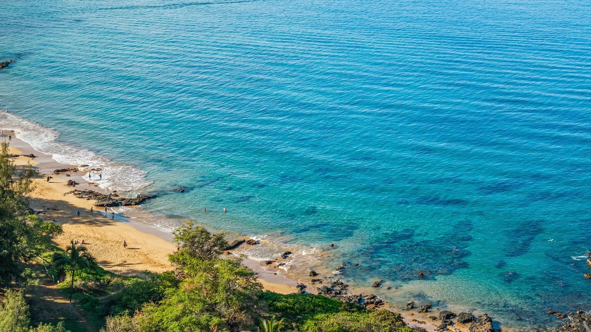Aparthotel Prime Location! Walk To Beach, Shops & Dining! Wailea